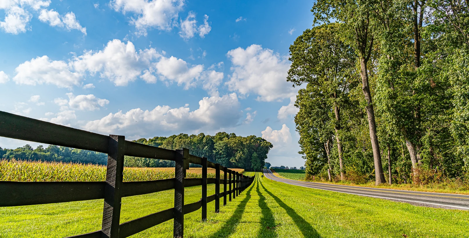 Blythewood Property Management